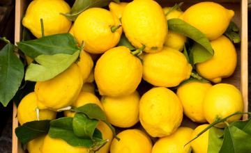 trusted agricultural export company