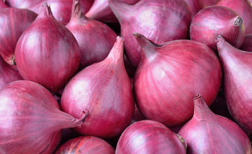 trusted agricultural export company