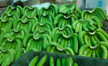 trusted agricultural export company