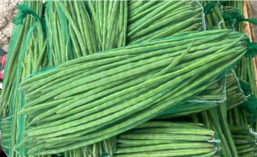 trusted agricultural export company