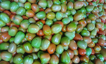 trusted agricultural export company