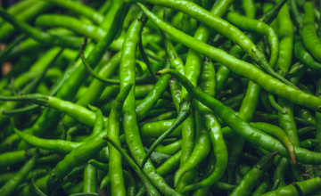 trusted agricultural export company